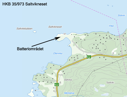 Kart Saltvikneset